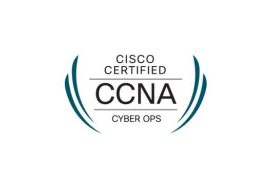 CyberOps Professionals