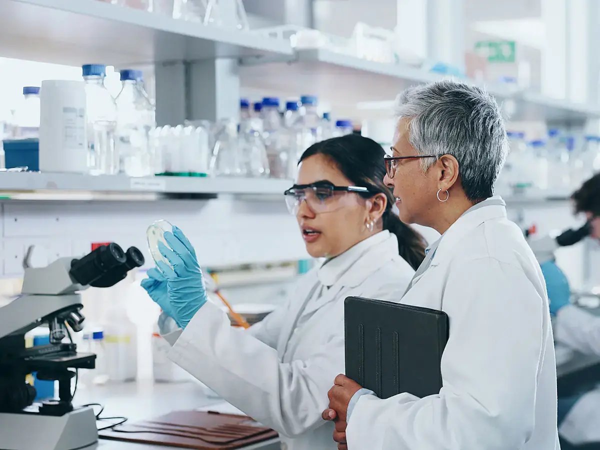 Two scientists in lab coats examine a petri dish in a laboratory.